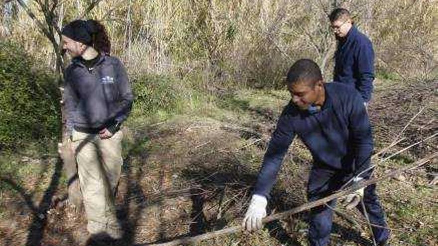 Fondos europeos permiten la limpieza del entorno de los «ullals» del río Verde
