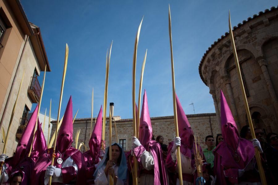 Semana Santa en Zamora: La Borriquita