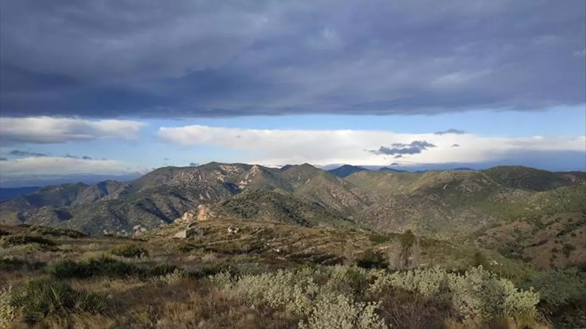 La riqueza natural de Castellón en 27 rutas guiadas: fechas y lugares