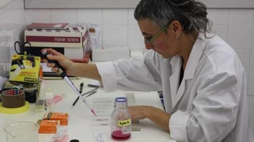 Una investigadora de la Universitat Autònoma de Barcelona analitzant mostres de pol·len.