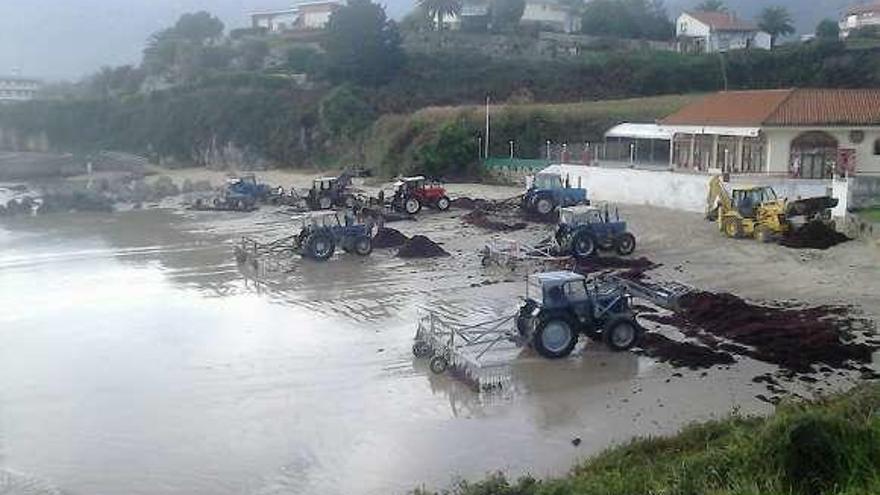 Tractores recogiendo ocle en la playa de Palombina (Celorio).