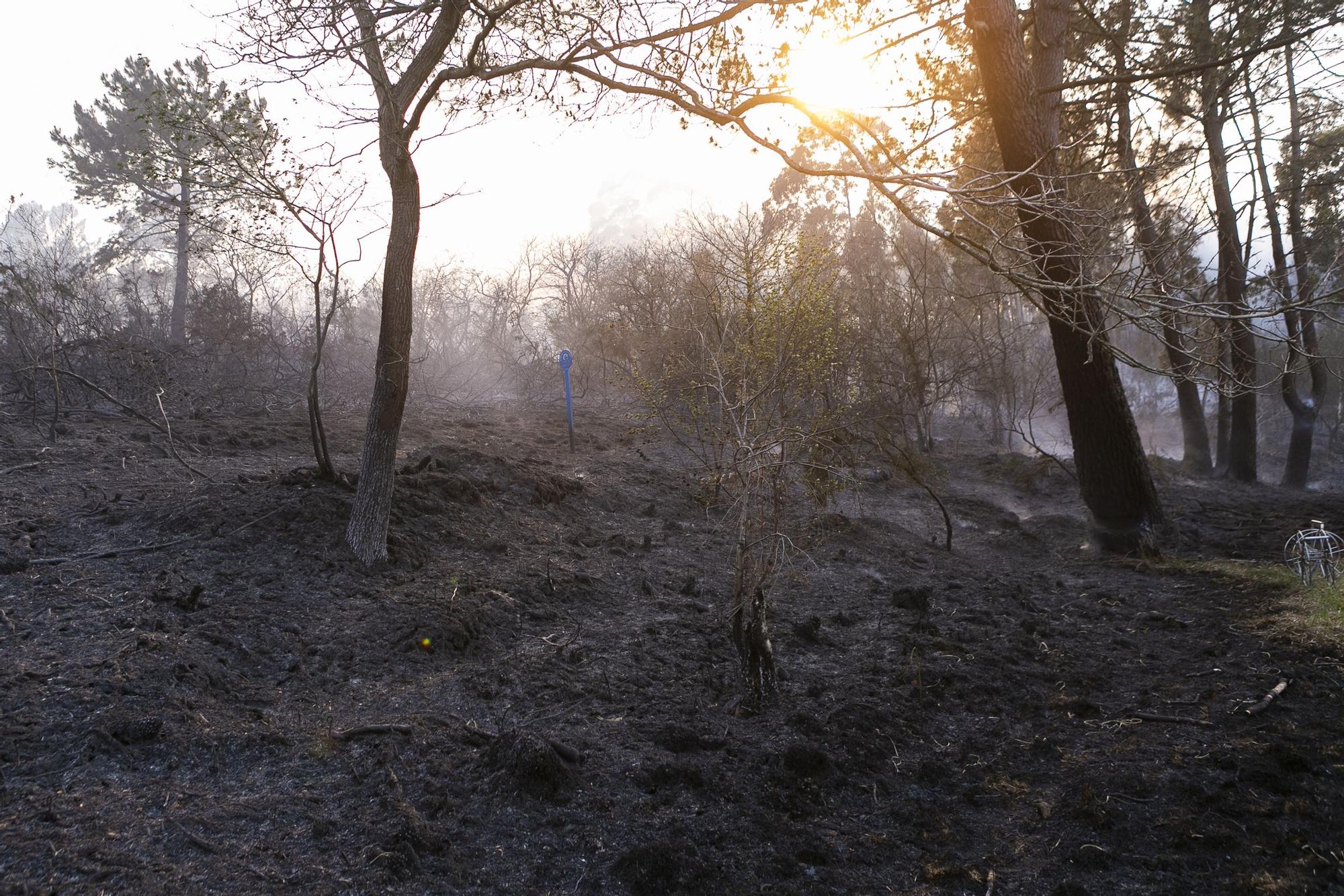 EN IMÁGENES: la extinción del fuego de La Plata (Castrillón), minuto a minuto