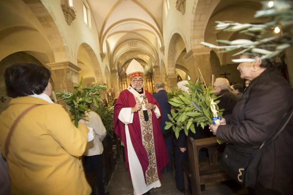 Bendición de ramos en la plaza de la Catedral