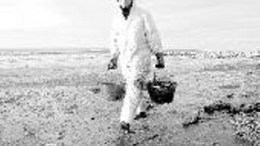 Los criadores de ostras francesesdenunciarán al Gobierno español