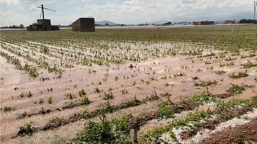 Video: Hagelschauer zerstört Kartoffelernte auf Mallorca