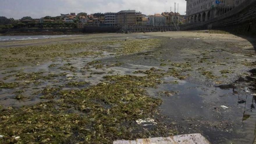 Los vertidos de aguas fecales en la playa de La Ribera denunciados por IU.