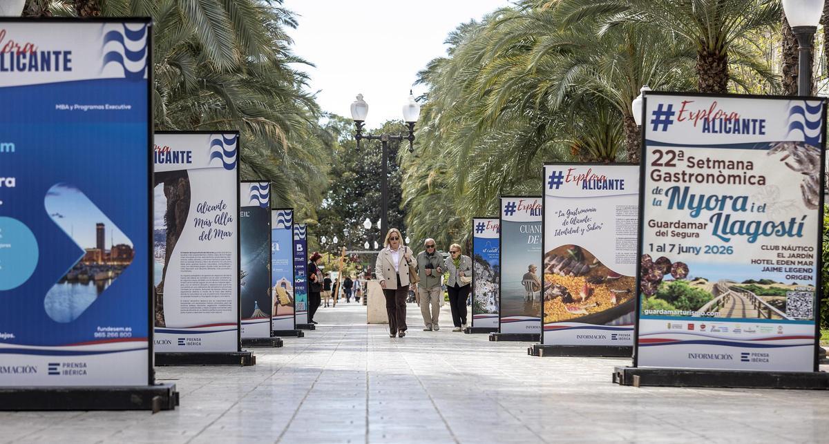 Doctor Gadea acoge la exposición ‘Explora Alicante’ hasta el 15 de abril