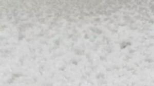 La calamarsa fa malbé 50.000 hectàrees de cultius a Lleida