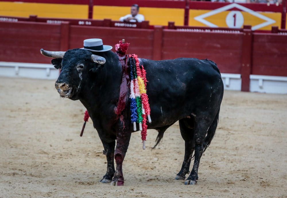 Con casi lleno en la plaza, en tarde fresca y apacible finalizó la Feria de Hogueras con la corrida de rejones