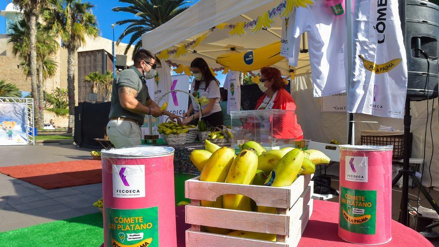 Plátanos para la esperanza de los afectados por el volcán de La Palma