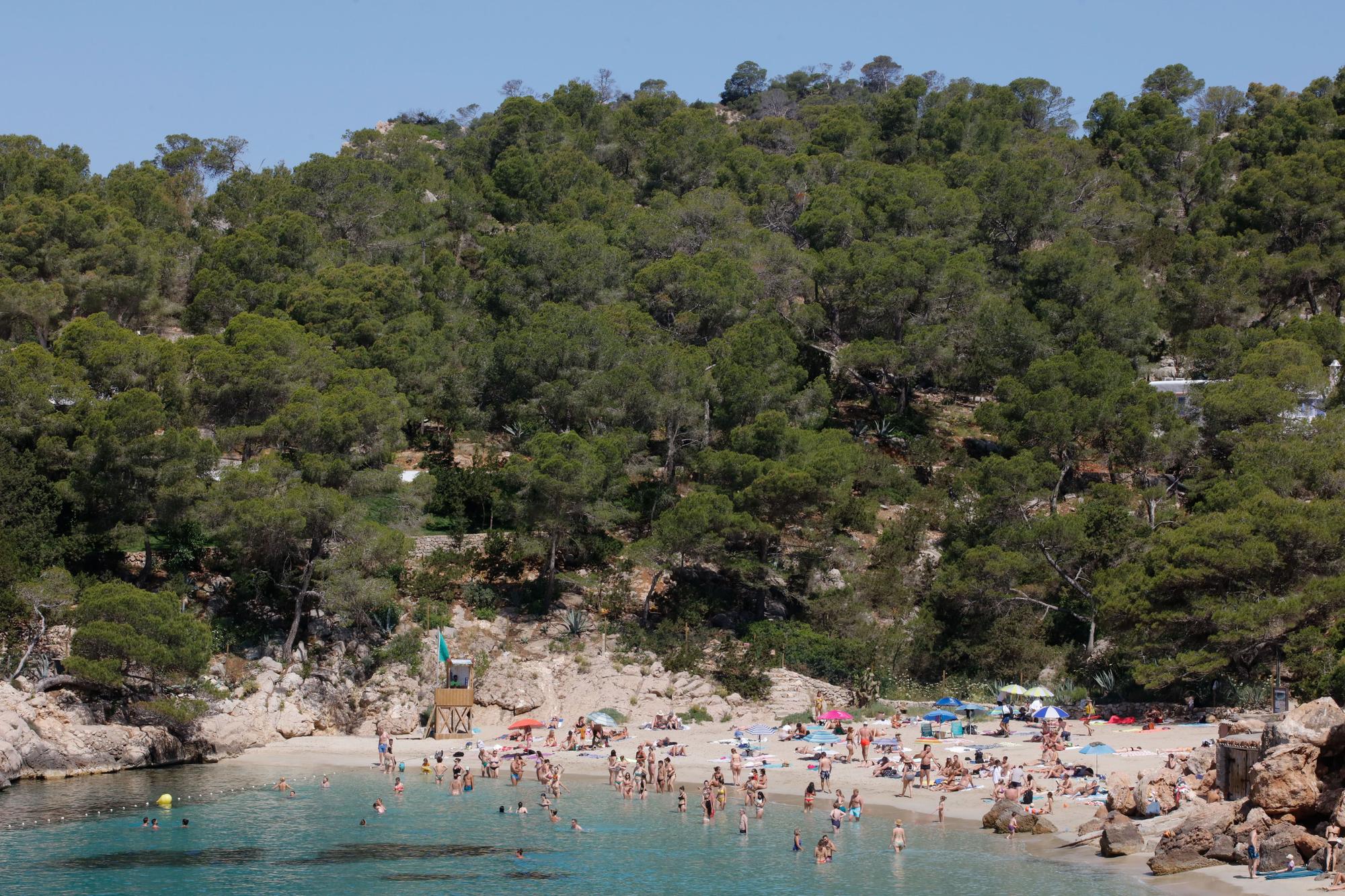 Primer día del servicio de autobús a Cala Salada