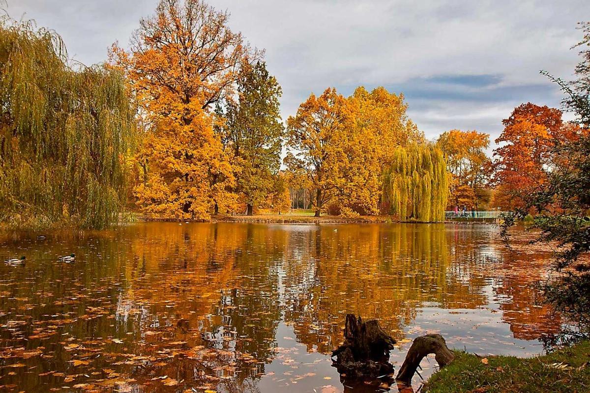 Parque Real Stromovka