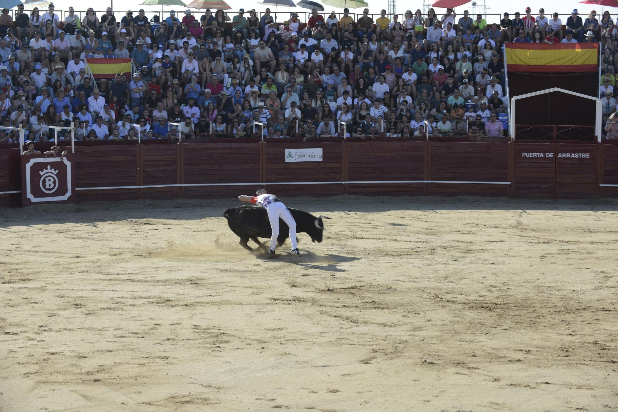 GALERÍA | Unos cuantos cortes de los arriesgados en Benavente