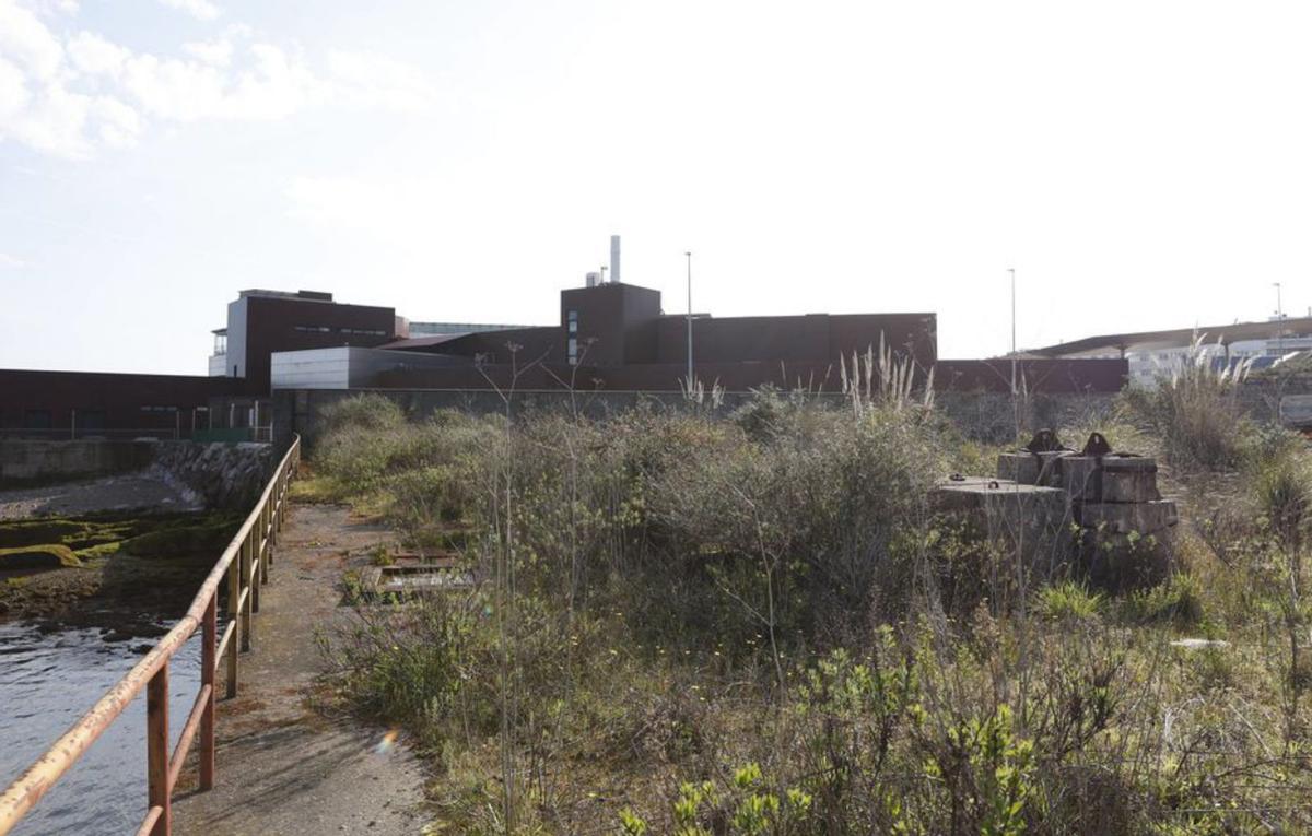 Estado actual de la franja perteneciente a la Autoridad Portuaria, como se veía ayer, con el edificio del Acuario al fondo y bloques de hormigón delimitando su alcance. | ÁNGEL GONZÁLEZ