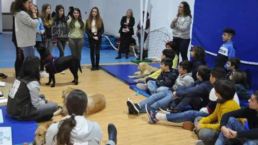 Los alumnos del IES de Soutomaior, en la actividad con perros. // FdV