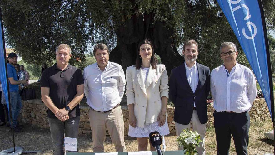 Endesa y el proyecto Apadrinaunolivo firman un convenio para recuperar 10.000 olivos en la zona de Abrantes (Portugal)
