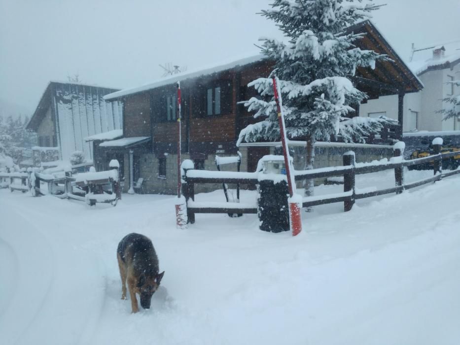 Temporal de nieve