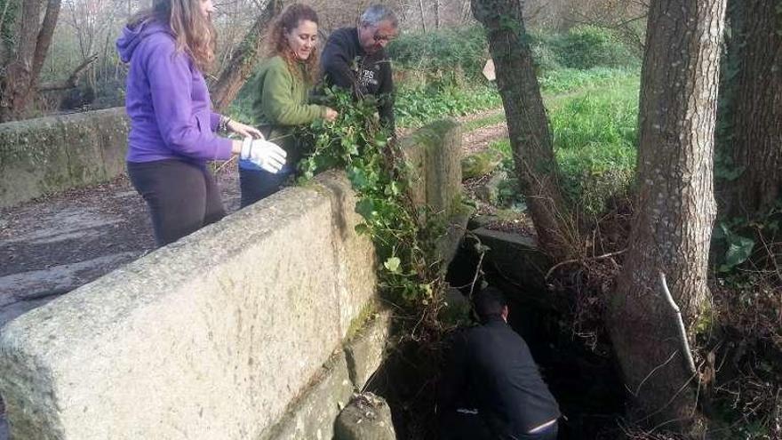 Vaipolorío retira ramajes de lecho de Rebón y Condesa