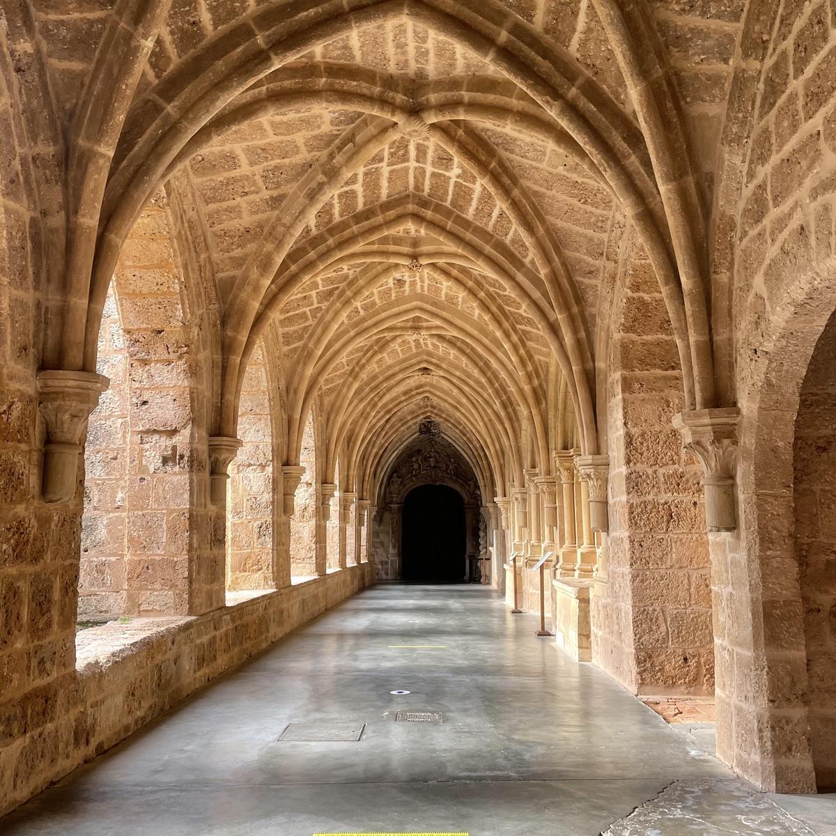 claustro