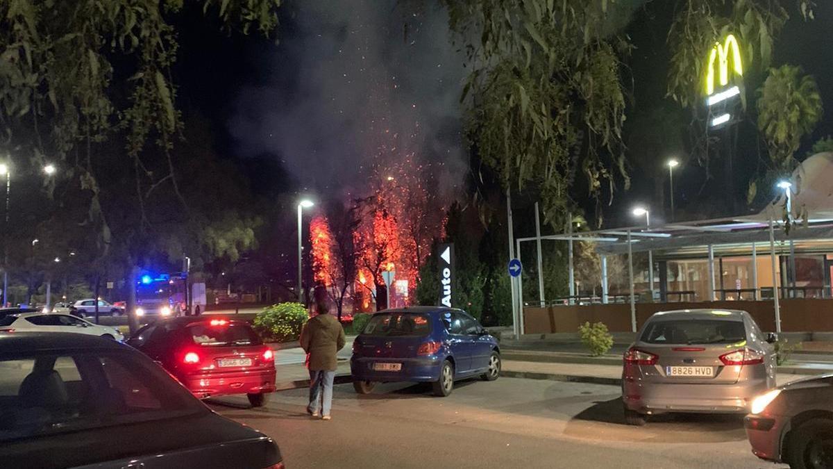 Las palmeras ardiendo junto al McDonald&#039;s de la avenida de Elvas.