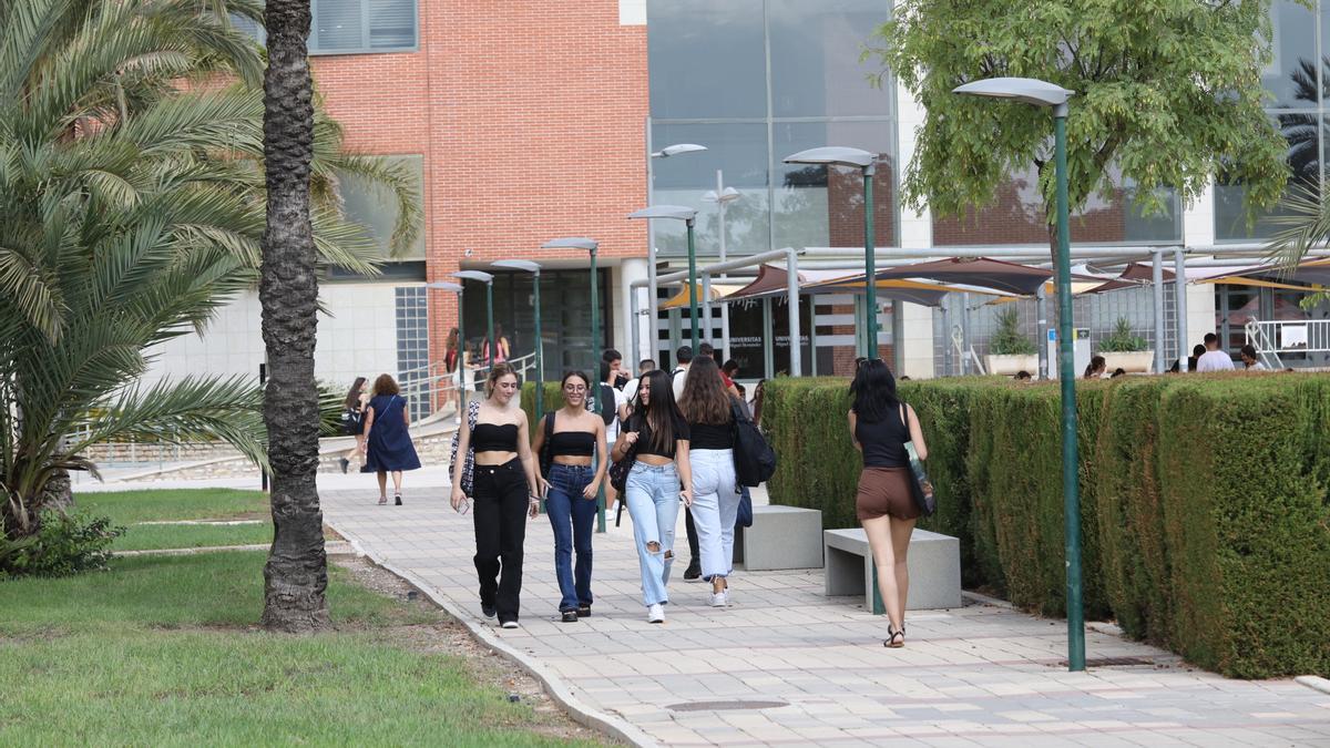 Una imagen de estudiantes de la UMH de Elche en el inicio del curso académico