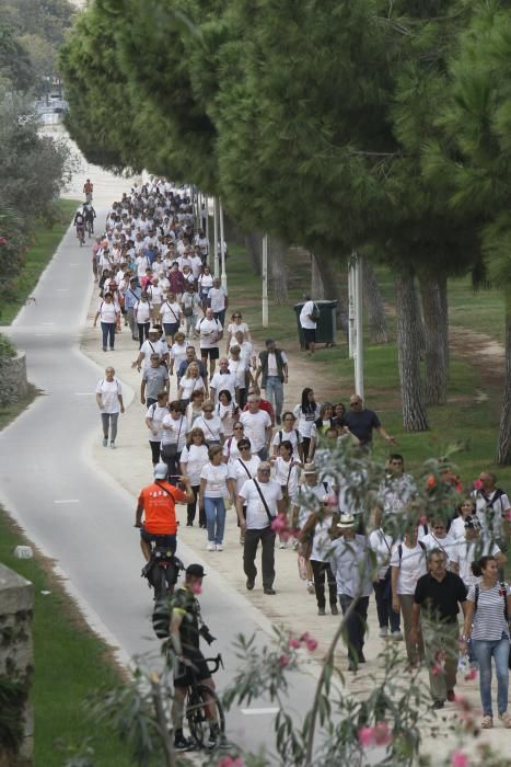 Paseo saludable por el Día Internacional de las Personas Mayores