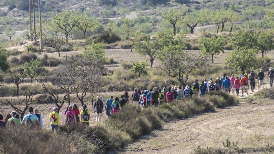 Marcha en defensa de la protección de Sierra Escalona en terrenos de secano y regadío afectados por las prospecciones