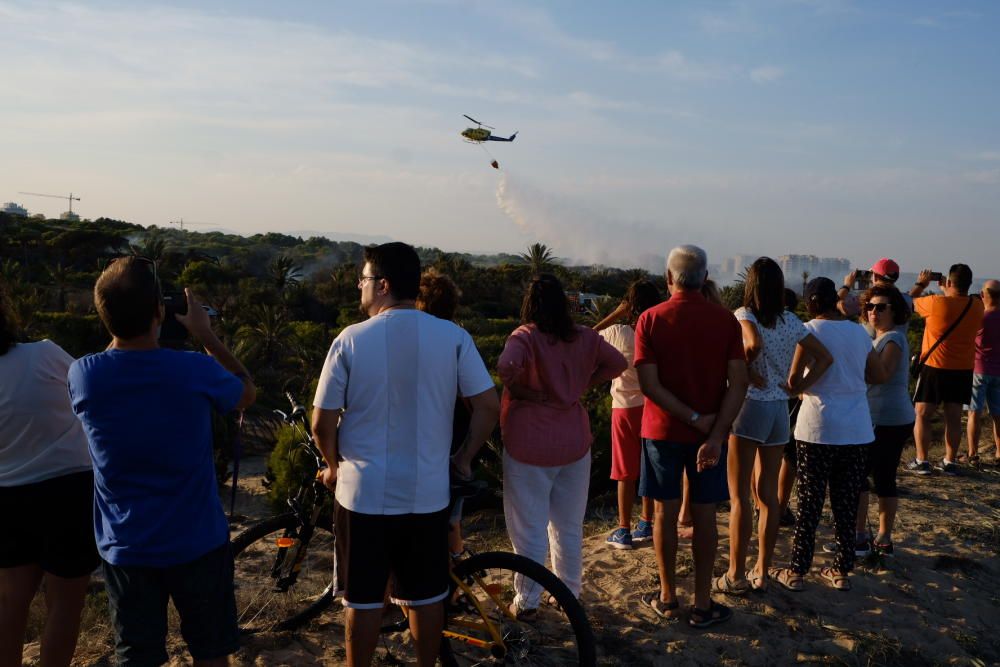 Extinción de un incendio en la pinada de Guardamar