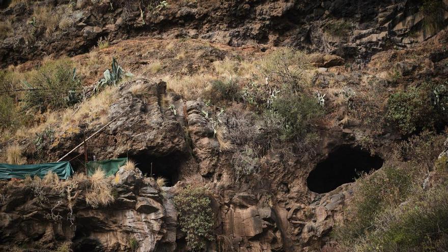 Tenerife’s Cave of Bencomo Threatened by Livestock Infestation