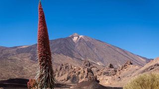 Tres seísmos sacuden Canarias, uno de ellos a escasa profundidad en el Teide