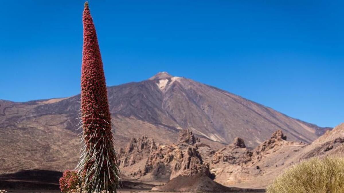 Parque Nacional del Teide.