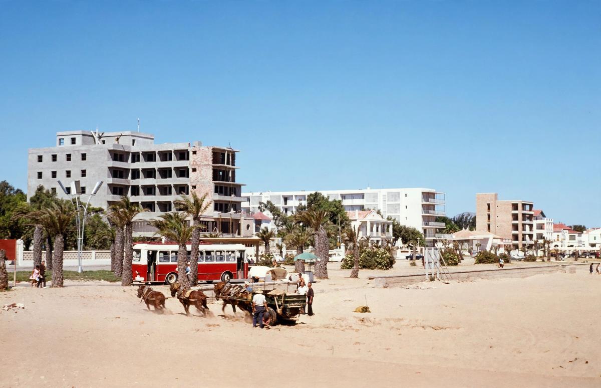 Caballos en la playa de Gandia, 1964.
