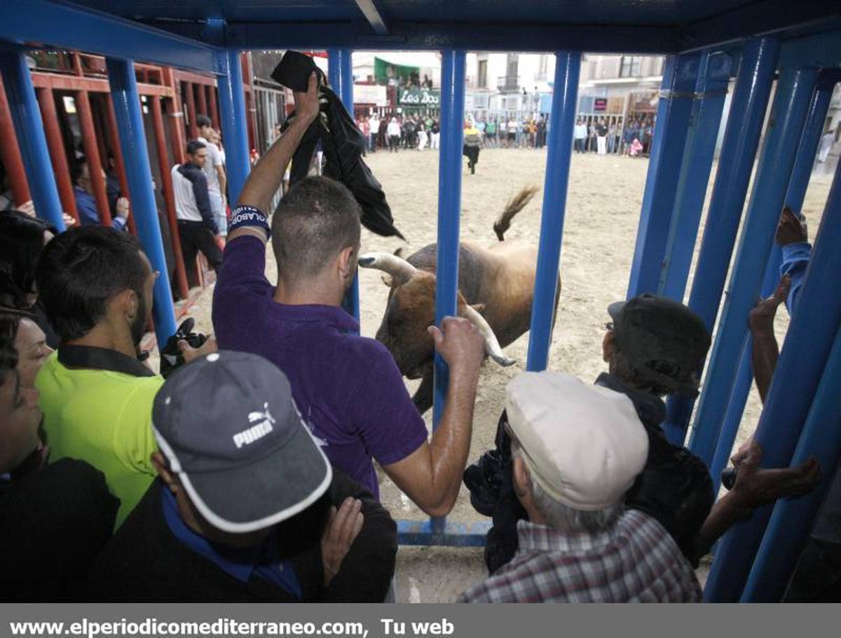GALERÍA DE FOTOS -- Almassora late con toros bravos pese a la lluvia