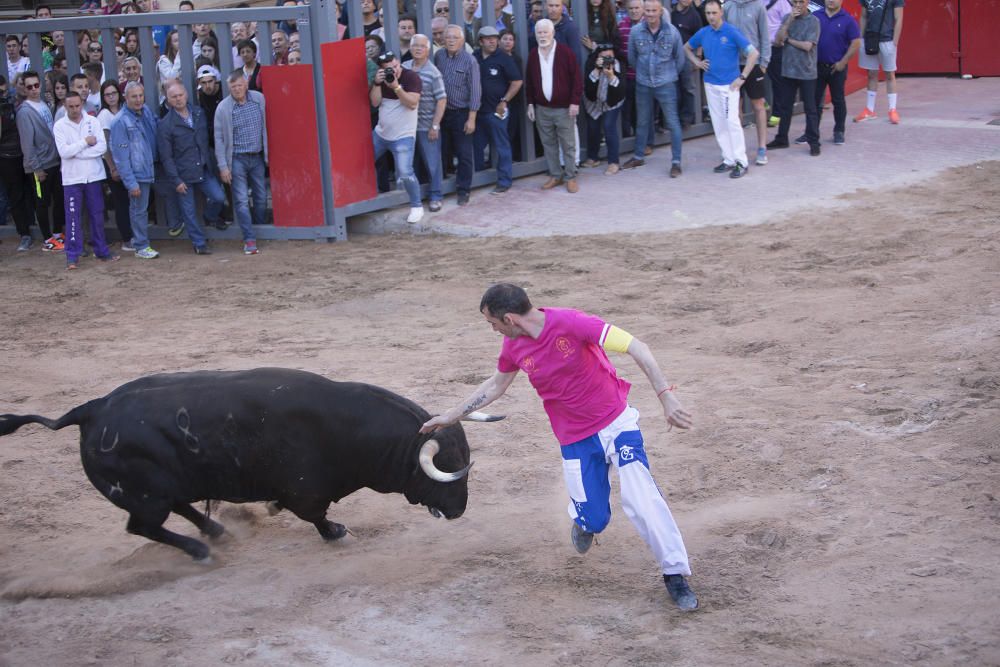 Toros y homenaje a la Tercera Edad en las fiestas de Vila-real