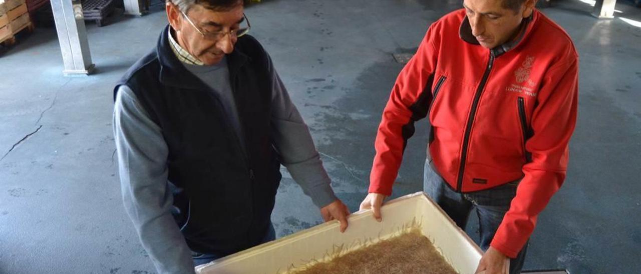 Pedro Gutiérrez y José Ramón Pintado con una caja de angulas.