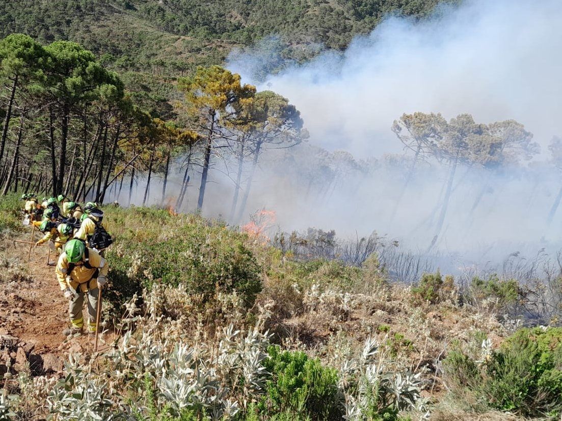 Incendio forestal en el paraje La Resinera de Pujerra