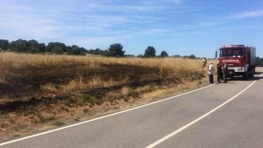 Incendio originado en una finca de centeno de San Vitero.