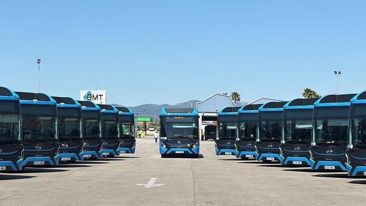 Vehículos BYD-Castrosua con carrocería Nelec y tren motriz 100 % eléctrico