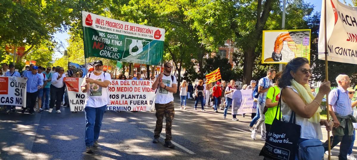 Manifestación, este domingo, en Madrid.