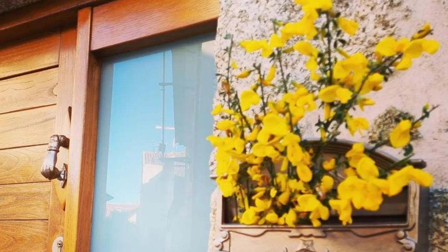¿Por qué es tradicional colocar &quot;ramas de xesta&quot; en las puertas de las casas durante el mes de mayo en Galicia?