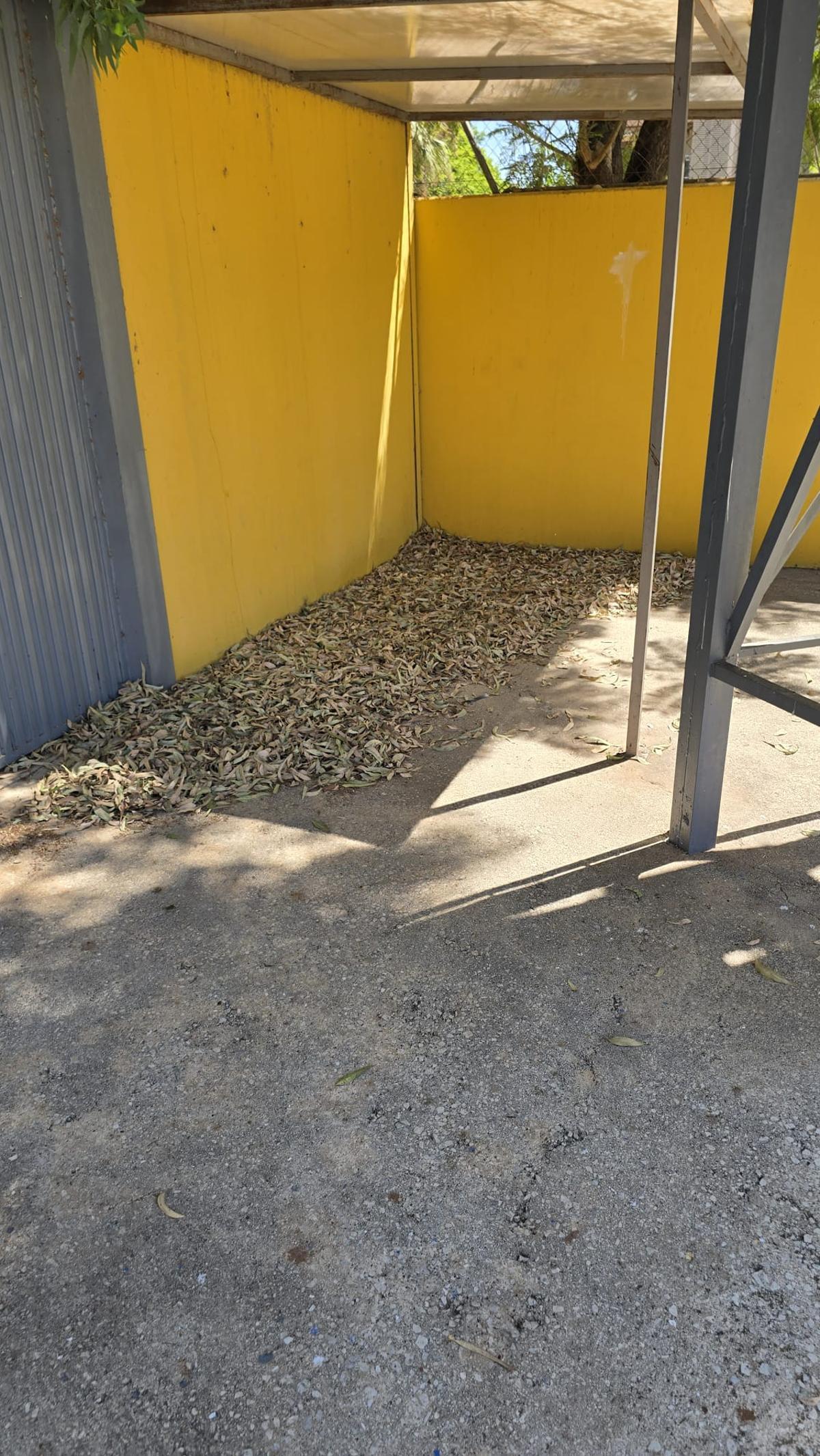 Así están las instalaciones y gradas del campo municipal de Los Arcos en Orihuela