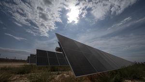 Parque de placas solares (energías renovables) en Alcarràs.
