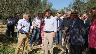 Plan de choque contra la sequía: Mazón anuncia 17 millones en ayudas para 30.000 agricultores y ganaderos