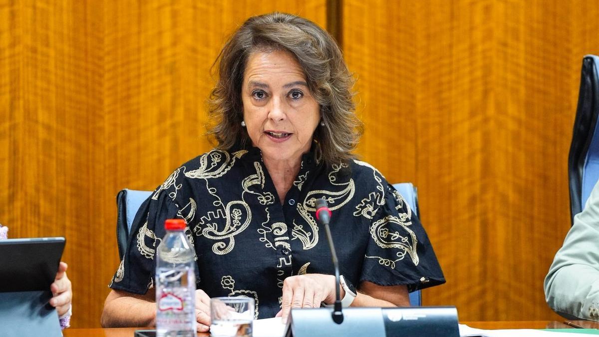 La consejera de Sostenibilidad y Medio Ambiente, Catalina García, en una imagen de archivo de una comparecencia parlamentaria en comisión.