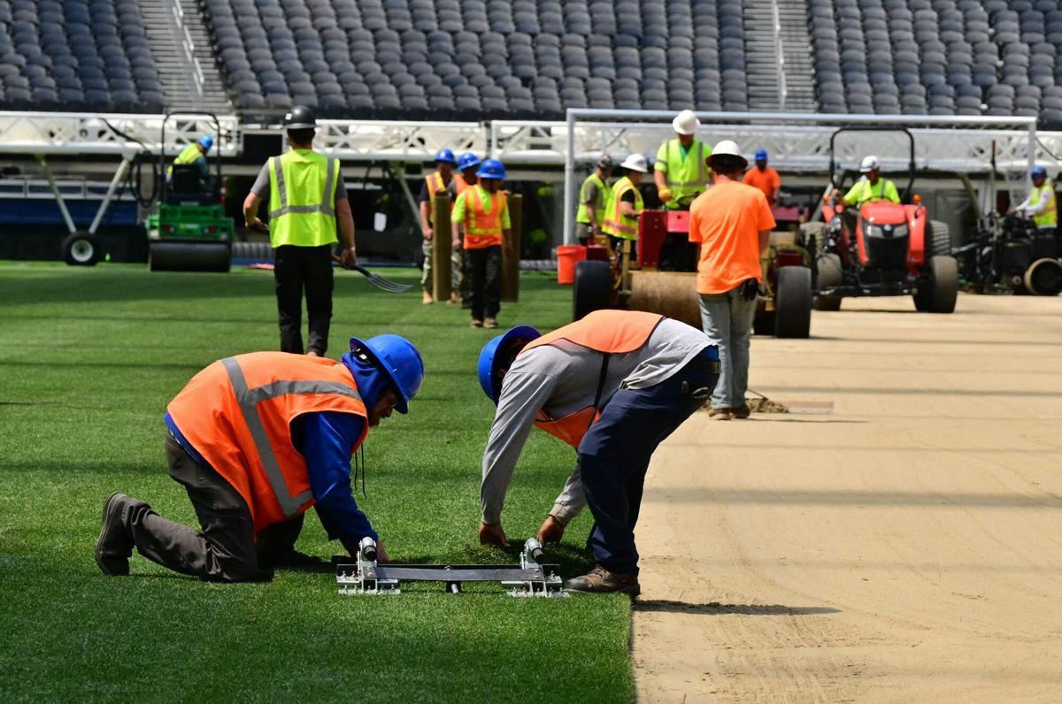 Los trabajadores instalan césped en el campo en el SoFi Stadium en Inglewood, California, antes de su cambio de nombre temporal al Estadio de Los Ángeles para la Copa del Mundo el 13 de mayo de 2026.