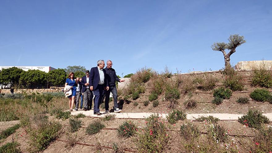 ‘Cultiva UMA’, el nuevo espacio verde de la Universidad en Teatinos