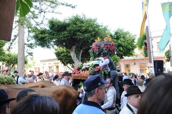 Romería de Santiago de Gáldar 2016.