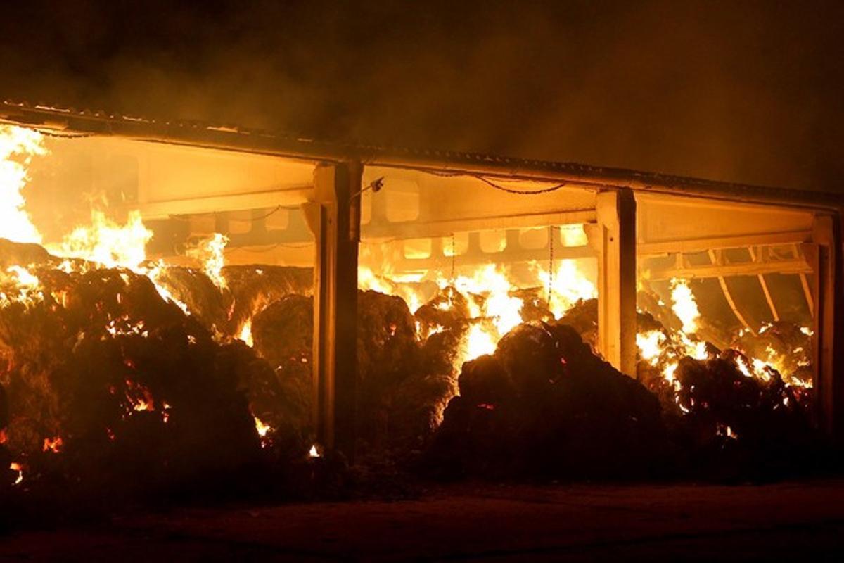 L’incendi, al municipi de Colomers.