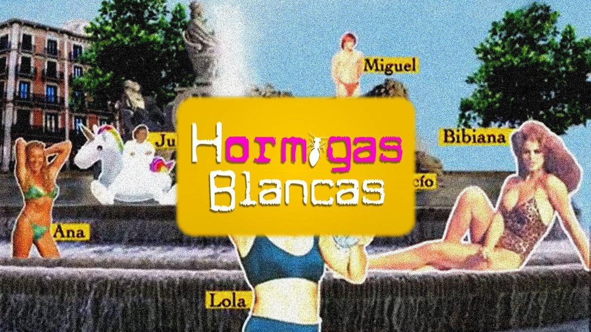 hormigas-blancas hormigas-blancas
