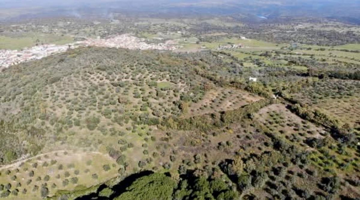 Terreno donde se realizarán los trabajos arqueológicos.